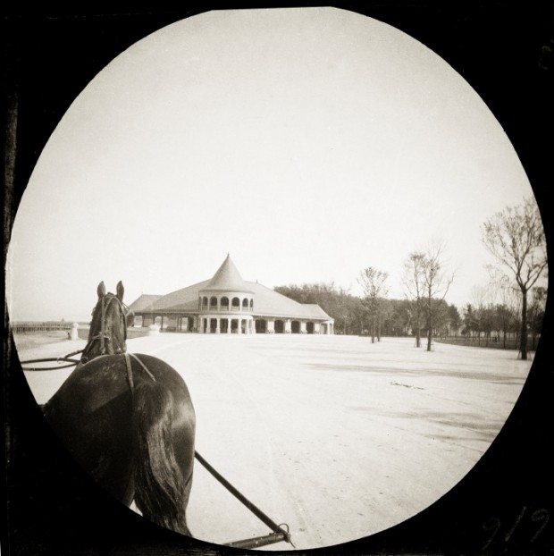  (R2014) Horse in Winter, Round Image, Anonymous