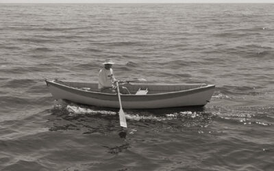 A Virtual Fleet of Rowboats