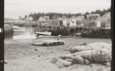 March 2026 Newsletter